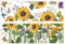 Angoily 2 Blätter Wandaufkleber Pflanzendekorationen Abziehbilder Girlande Blumen- Solar- büro dekoration schlafzimmer wandtattoos Wandtattoo im Hintergrund selbstklebendes Wandtattoo PVC