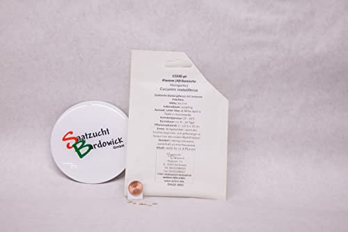 Kiwano Afrikanische Horngurke exotische Kletterpflanze Kiwanosamen Kiwanosaat für ca. 8 Pfl. Kürbisgewächs