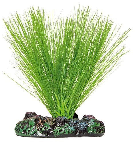 ICA Aquatic Plants AP1114 Planta de Seda Miriophyllium para Acuarios, 7 Cm