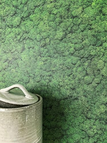 Newroom Vliestapete Grün Moostapete Skandinavisch Wohnzimmer | Islandmoos-Optik in sattem Dunkelgrün, feine Moosstruktur, botanische Strukturtapete, Wandtapete für Schlafzimmer und Büro