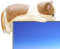 Miniature Cat Statue | Shelf Decor Kitten Figurine - Cartoon Cats Figurine Computer Monitor Decor, Cute Animal Figurines for Home Workplace Accessory