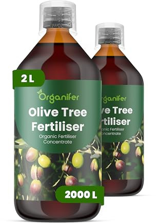 Fertilizzante liquido organico 2x1L per ulivo – radici forti e piante sane – Organifer