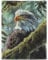 YISUMEI Kuscheldecke Weiche Warme Flauschige Fleece Decke, Wald Adler, 150 x 200 cm