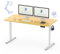 FLEXISPOT höhenverstellbarer Schreibtisch elektrisch 140x60cm, Schreibtisch höhenverstellbar 2-stufige mit Haken und Sitz-Steh-Erinnerungs - QN1 Basic(ahorn, weiß Gestell)