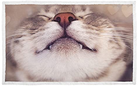 hengpai Cat Face Happy Nose Warm Print Pet Blanket Bed Cover for Cats Blankets