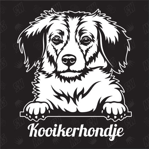 Kooikerhondje Version 1 - Sticker, Aufkleber, Hundeaufkleber, Autoaufkleber, Hund, Auto, Hunderassen, Mischling, Mix, Tiere, Haustier (AUCH MIT Wunschname MÖGLICH)
