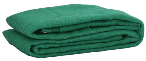 vidaXL Anhängernetz Grün 2,5x4 m HDPE