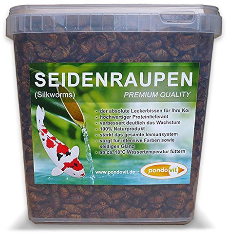 pondovit Seidenraupenpuppen - Premiumsnack - Koi Leckerbissen, 5 l