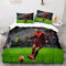 WSFST Bettwäsche 135x200 Bettbezug Set 2 Teilig 1 Bettbezug 135x200cm + 1 mit Reißverschluss Kopfkissenbezug 80x80cm, Microfaser Bettbezüge