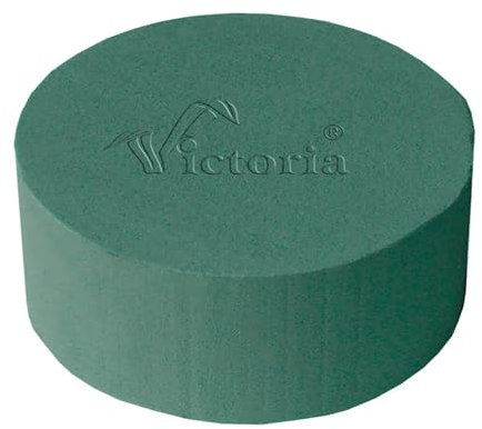 Creativery Nass Steckschaum Rund 14x7cm - für Profi Floristen & Hobby Bastler - Frischblumen Steckschwamm - Zylinder Blumen Steckmasse Blumensteckschaum - Floristik Zubehör & Floristikbedarf - Grün