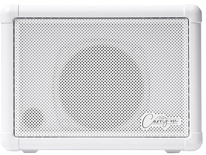 Carry-on Mini altoparlante di estensione da 3 Watt Mini altoparlante compatto 3 Watt mini amplificatore combinato portatile