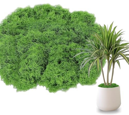 GOIEHIR 200 g di Muschio Artificiale, Decorativo Simulazione di Muschio, Muschio Verde Scuro per l'artigianato, Muschio Finto Decorativo per La Modellazione di Acquari a Parete, Immagini di Muschio