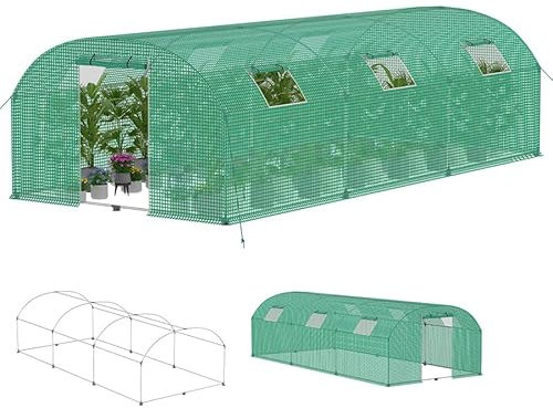 Aufun Invernadero estable de 3 x 6 x 2 m con 6 ventanas con mosquitera y puerta, túnel de jardín con marco de acero galvanizado, invernadero para tomates, tienda de campaña, tienda de campaña