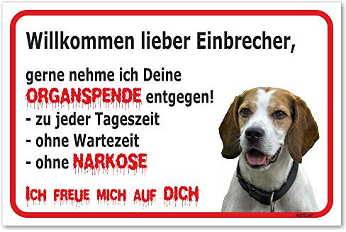 AdriLeo Schild - Vorsicht Beagle - Willkommen Lieber Einbrecher - (20x30cm) / Achtung Hund Wachhund