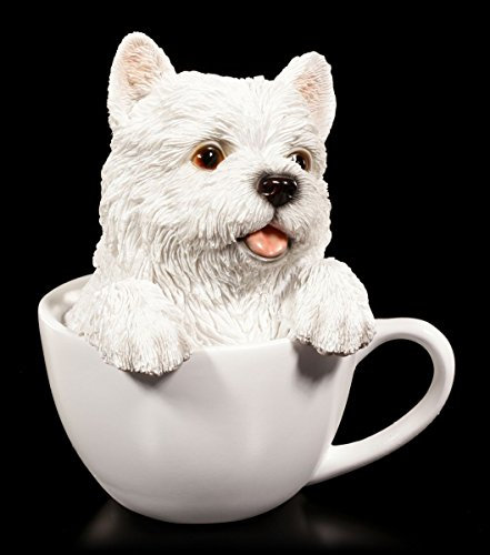 Niedlicher West Highland White Terrier Welpe in Tasse | Hund Figur Deko Geschenk lustig witzig