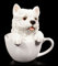 Niedlicher West Highland White Terrier Welpe in Tasse | Hund Figur Deko Geschenk lustig witzig