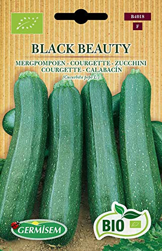 Germisem Orgánica Black Beauty Semillas de Calabacín 3 g