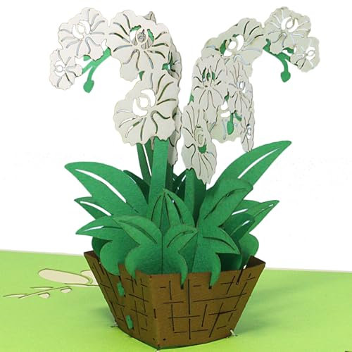 LINPOPUP® Pop - Up Karte Blumen -Strauss -Orchidee- 3D Geburtstags-Karte - Gruß-Karte mit Blumen-Motiv - Gutschein Wellness - Klapp-Karte - Grün, N361