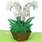 LINPOPUP® Pop - Up Karte Blumen -Strauss -Orchidee- 3D Geburtstags-Karte - Gruß-Karte mit Blumen-Motiv - Gutschein Wellness - Klapp-Karte - Grün, N361