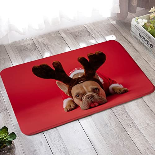 Banemi Fußmatte Personalisiert, Teppich Antirutschunterlage 40X120cm Rotbraun Hund mit Geweih für Schuhschaber, Ideal für den Innenbereich