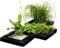 Aquacadabra 3x Square Floating Plant Basket Island (25cm Width) Garden Pond Plant Flower Island for Pond & Water Feature