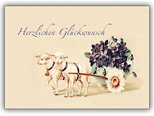 Kartenkaufrausch 1 Geburtstagskarte: Nostalgische Blumen Geburtstags Glückwunschkarte mit Veilchen • schöne Glückwunschkarte mit Umschlag für beste Freunde und Lieblingsmenschen