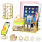 JUOPIEA Schreibtisch-Organizer und Zubehör, Bürobedarf-Organizer mit Stifthalter, 72 Clips und Handy-Ständer, Metallnetz-Schreibtisch-Organizer mit Schublade für Zuhause, Büro, Schule usw. (Gold)