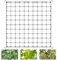 Zikenis Wachsen Zelt Netz,Scrog Netz 100 x 100 cm,Elastisches Mesh Zelt Ranknetz,Grow Netz mit 4 Haken,für GemüSe-,Obst-Und Blumenpflanzen Verwendet,für Hof,Gartenarbeit,Garten,Balkone