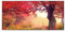 banjado Magnettafel schwarz 78 x 37cm / Magnetwand Metall/Magnetpinnwand als Memoboard/Pinnwand Magnettafel Küche, Büro, Kinderzimmer inkl. 4 Magnete & Montageset - Motiv Lichtung Im Herbst