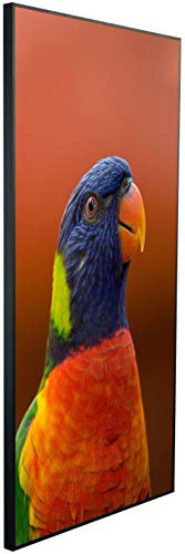 Ecowelle Infrarotheizung mit Bild | 750 Watt | 60x120 cm | Infrarot Heizung| | Made in Germany| b 89 Papagei