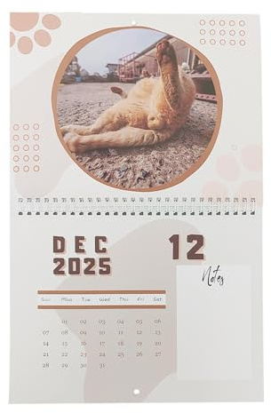Monatskalender Cat Balls, Cat Balls Kalender 2025 | Wandkalender Monatskalender Cat Butt - Jahresplaner Cat Butthole, Wandkalender für 12 Monate, Kalender 2025