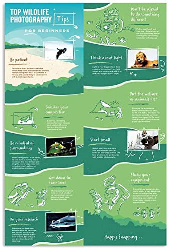 peiyeety Photography Knowledge Metal Tin Signs Top Wildlife Photography Tips For Beginners Posters Photographers Infographics Reading Plaques Home Room Photography Studio Wall Decor 8x12 Inches