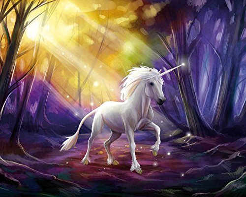 1art1 Einhörner Poster Das Einhorn Im Zauberwald Bilder Leinwand-Bild Auf Keilrahmen | XXL-Wandbild Poster Kunstdruck Als Leinwandbild 50x40 cm