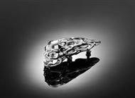 Ornament Totenkopf Schutzblech