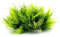 Smoothedo-Pets Aquarium Plants Fish Tank Decorations 2pcs Small Size/3.5inch Ornament Plastic Artificial Plant Goldfish Waterscape Fish Hides Mini Grass Set (2pcs/Green)
