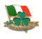 St Patrick's Day Irish Flag Pin Badge Brooch, St Patrick's Day Irish Flag Clover Remembrance Pin Badges 2025, Green Clover Lapel Pin Badge Decorations Gifts Memorabilia