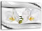 Leinwandbild XXL Blumen Wandbild Kunst Orchideen Weiß 120x80 cm