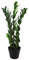 Leaf Design UK Realistic Large Artificial Foliage Plant with Pot, Zanzibar Gem, 75cm