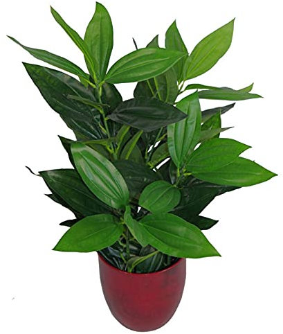 Leaf Design UK - Planta de follaje Artificial Grande Realista con Maceta, 70 cm, Hoja perenne