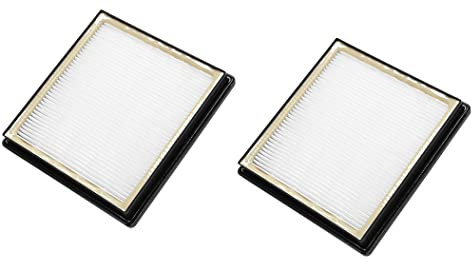 Wessper 2x Filtro Hepa H14 per aspirapolvere NILFISK EXTREME X300 -F13 X210 X200 X150