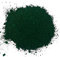 CRIGEMA - Pigmento en polvo - Verde Oliva - 50 g - 100% puro - Pintura al óleo, témpera, Encausto, Fresco (Verde Oliva)