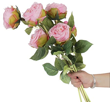 cn-Knight 6 x Eden Rose künstliche Blumen, 61 cm, super langer Stiel, David Austin Rose, fühlt sich echt an, Seidenkohlrose für Heimdekoration, Tafelaufsatz, Hochzeitsstrauß, Zubehör, Hellrosa