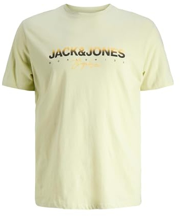 JACK & JONES Jorcanggu Tee Ss Crew Neck FST Pls