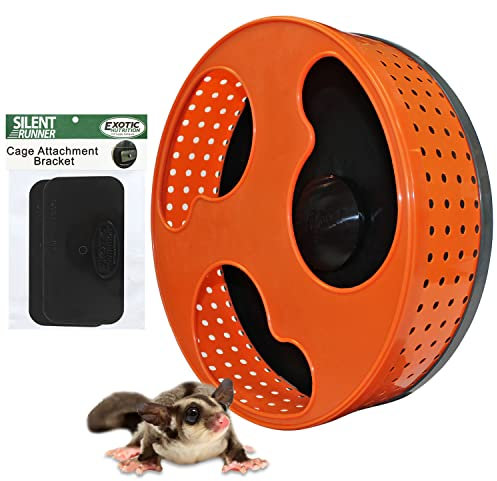 Exotic Nutrition 30,5 cm Silent Runner | Sugar Glider Übungsrad