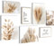 Quadros - Completamente Pronto Da Appendere - Immagini - Erba Di Pampa - 7 Pezzi Set Moderni - N005671a