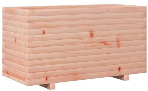 vidaXL Pflanzkübel, Blumenkübel mit Holzrahmen, Blumenkasten für Terrasse Garten, Pflanzkasten Hochbeet Pflanzgefäß, Massivholz Douglasie