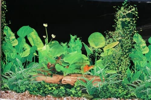 M&S Reptilien Terrarienrückwand, Black