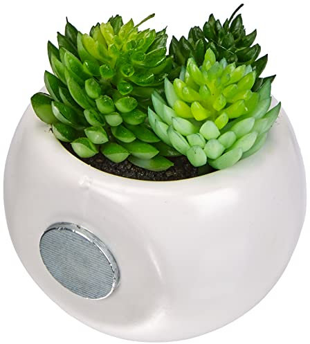 Atmosphera 83204 Mini Plantes décoratives avec Aimant - modèle et couleur aléatoires 6 cm 20