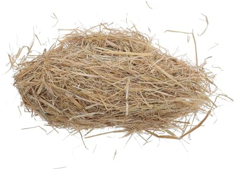 RORPOIR Lecho de Paja de Trigo Natural 1 Kg para Mascotas Pequeñas, Absorbente y Seco, Adecuado para Gallineros, Nidos y Refugios de Conejos y Aves, Cama Ecológica para Animales