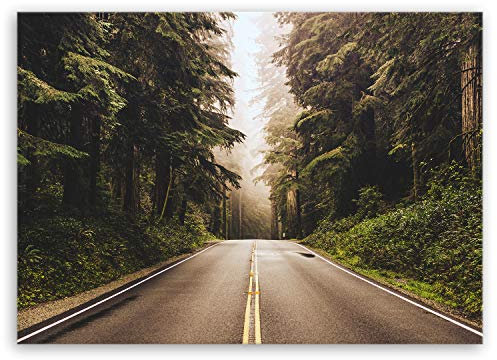 ge Bildet Bild auf Leinwand | Redwood Highway in Nordkalifornien, USA in 100x70 cm als Wandbild | Wand-deko Dekoration Wohnung modern Bilder | 1461